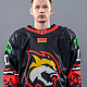 Иван Секерин (Д)